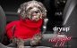 Preview: DryUp Cape Hundebademantel Mini Red Pepper